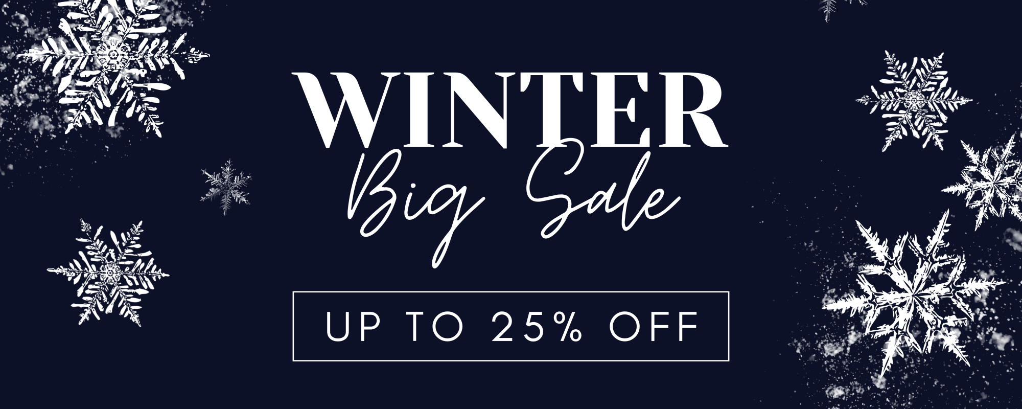 blue bold winter sale banner landscape